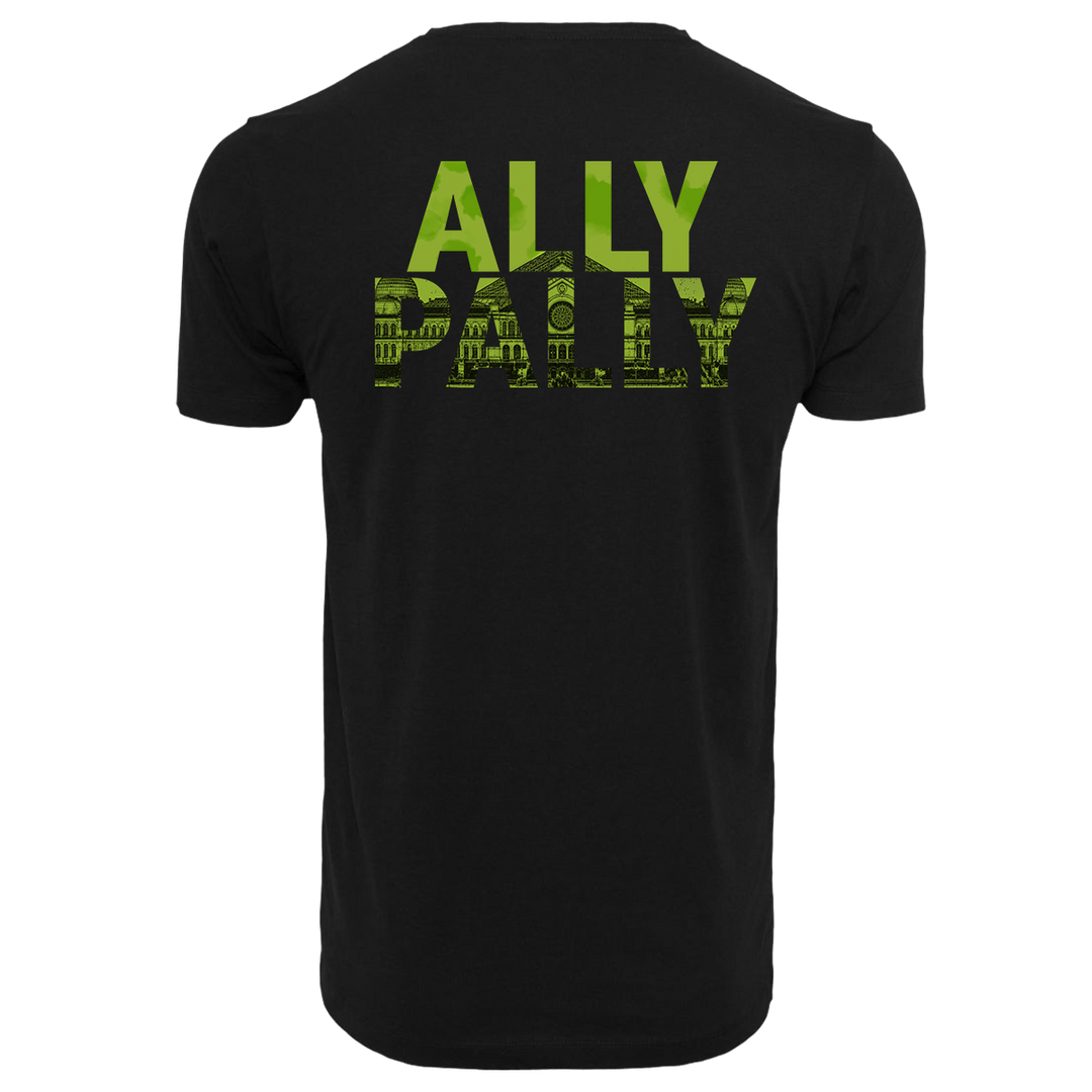 ALLY PALLY Part 2