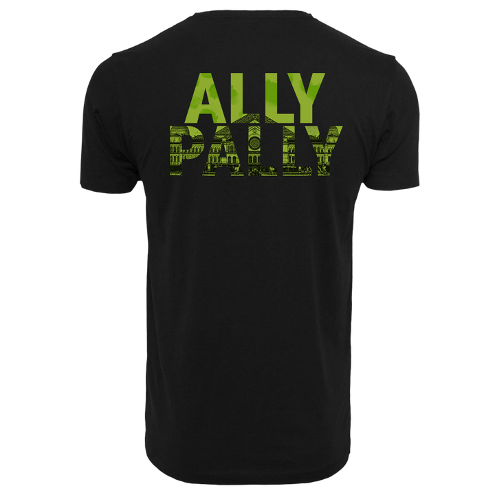 ALLY PALLY Part 2
