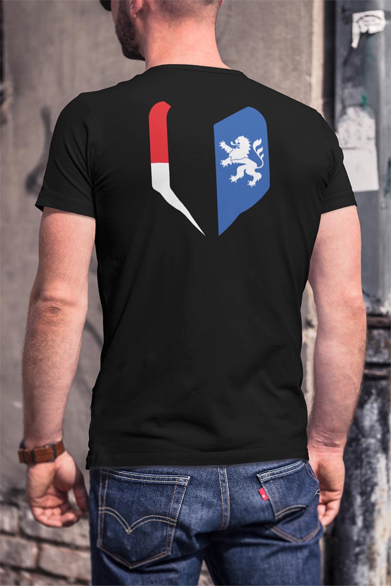 Shirt - STEELIKONE Flags, Bundesländer